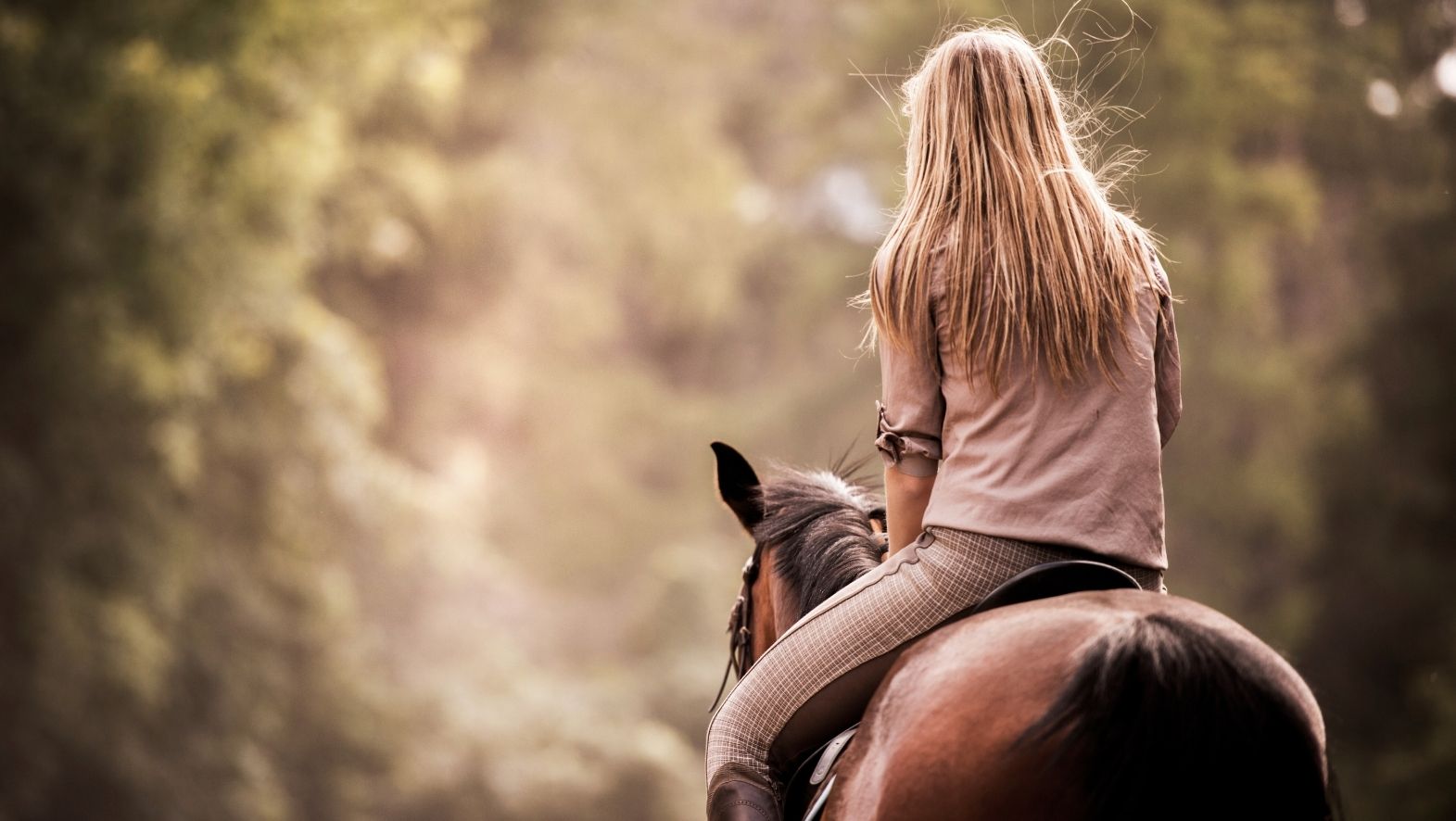 equitation domaine de lapedagne